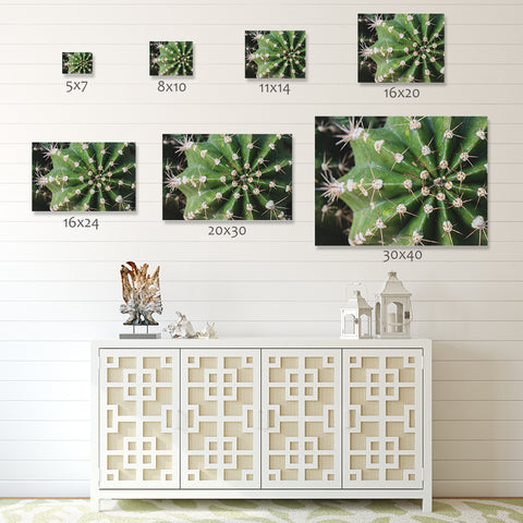 Cactus Fine Art Print - Southwest Home Decor - april bern art & photography