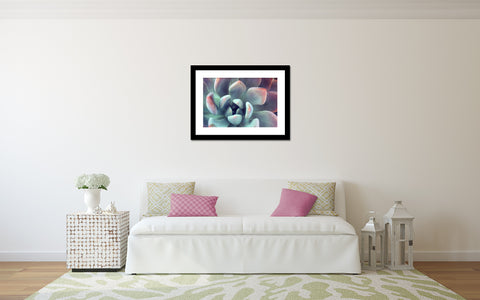 Succulent Fine Art Photography - april bern art & photography