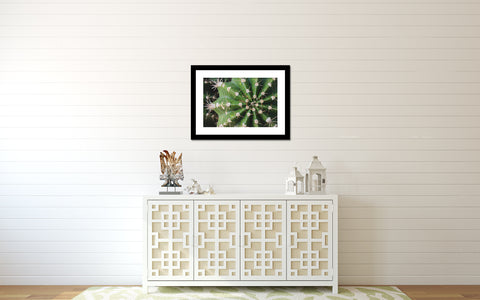Cactus Fine Art Print - Southwest Home Decor - april bern art & photography