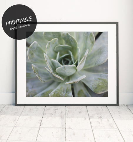 Instant Download - Pastel Succulent Printable Art