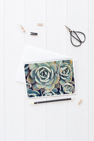 Succulent Card, Blank Notecard Card - april bern art & photography