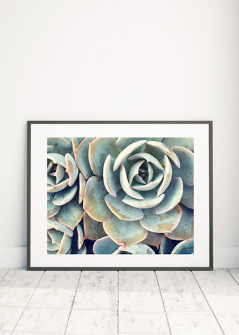 Printable Art - Succulent Instant Download - april bern photography