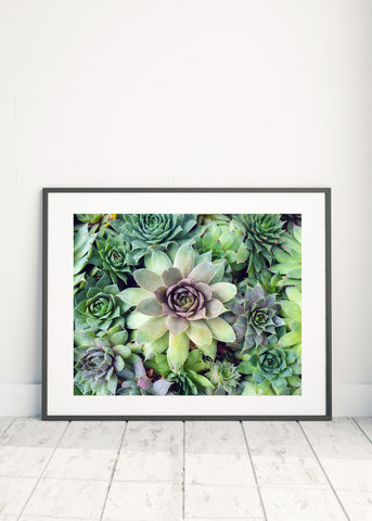 Printable Art - Succulent Garden Instant Download - april bern photography
