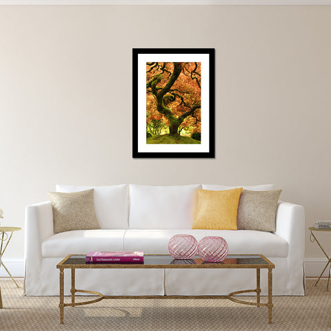 Oregon Japanese Garden- Fall Tree Photo - april bern art & photography