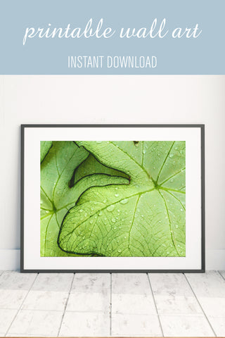 Tropical Leaves Printable Art - april bern photography
