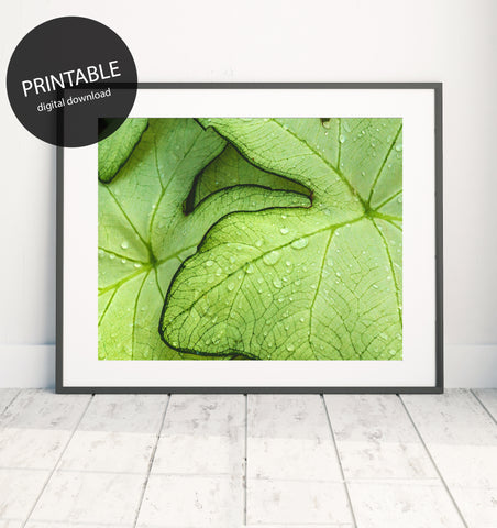 Tropical Leaves Printable Art - april bern photography