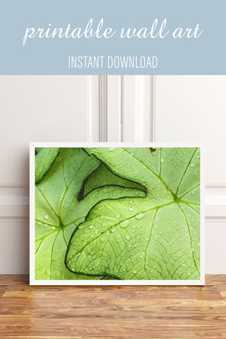 Tropical Leaves Printable Art - april bern photography