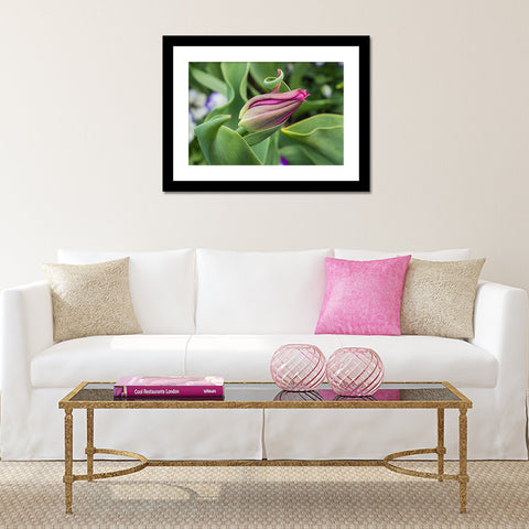 Tulip Fine Art Photography - Botanical Art - april bern art & photography