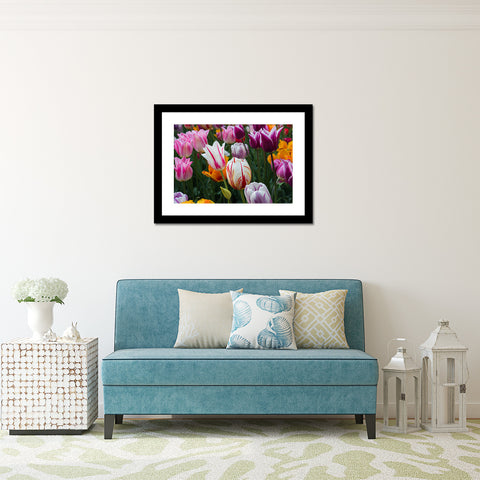 Tulips Photography, Pink Tulip Art - april bern art & photography