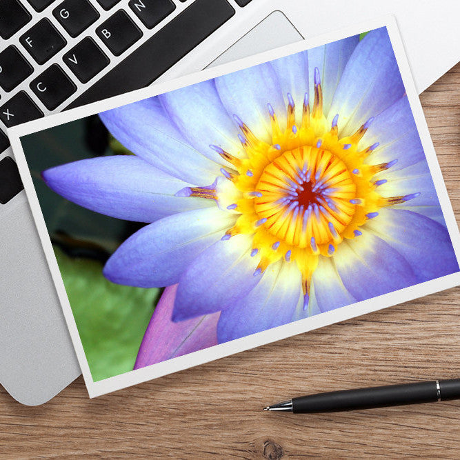 Waterlily Photo Notecard, Blank Greeting Card - april bern art & photography