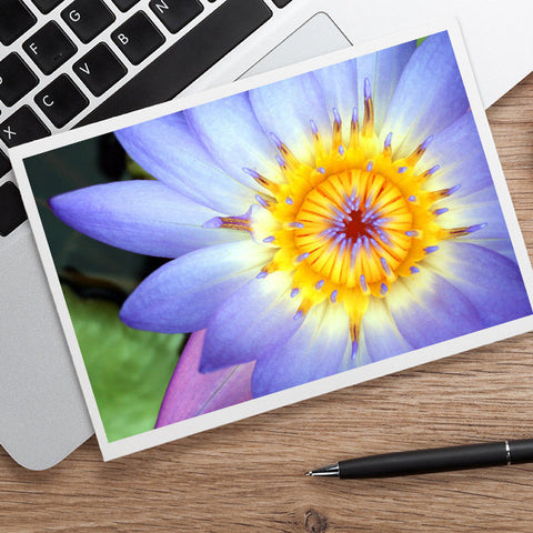 Waterlily Photo Notecard, Blank Greeting Card - april bern art & photography