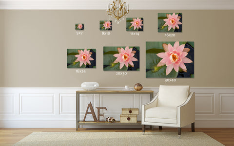 Waterlily Fine Art Photography - april bern art & photography