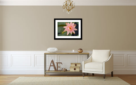 Waterlily Fine Art Photography - april bern art & photography