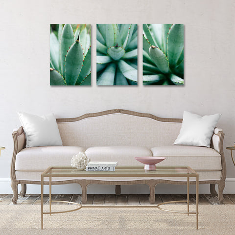 Ready to Hang Agave Gallery Wrapped Canvas- Set of 3