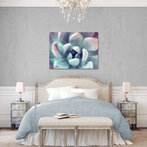 Succulent Gallery Wrapped Canvas - Ready to Hang Succulent Art