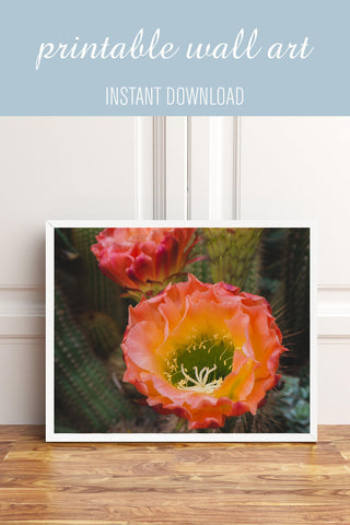 Printable Wall Art - Flowering Cactus Instant Download