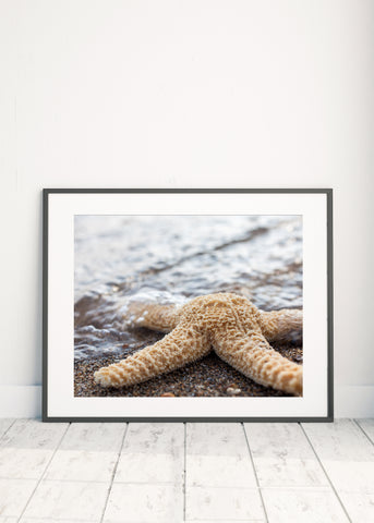 Printable Wall Art - Starfish Digital Print - april bern photography