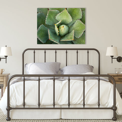 Agave Wall Art - Ready to Hang Gallery Wrapped Canvas