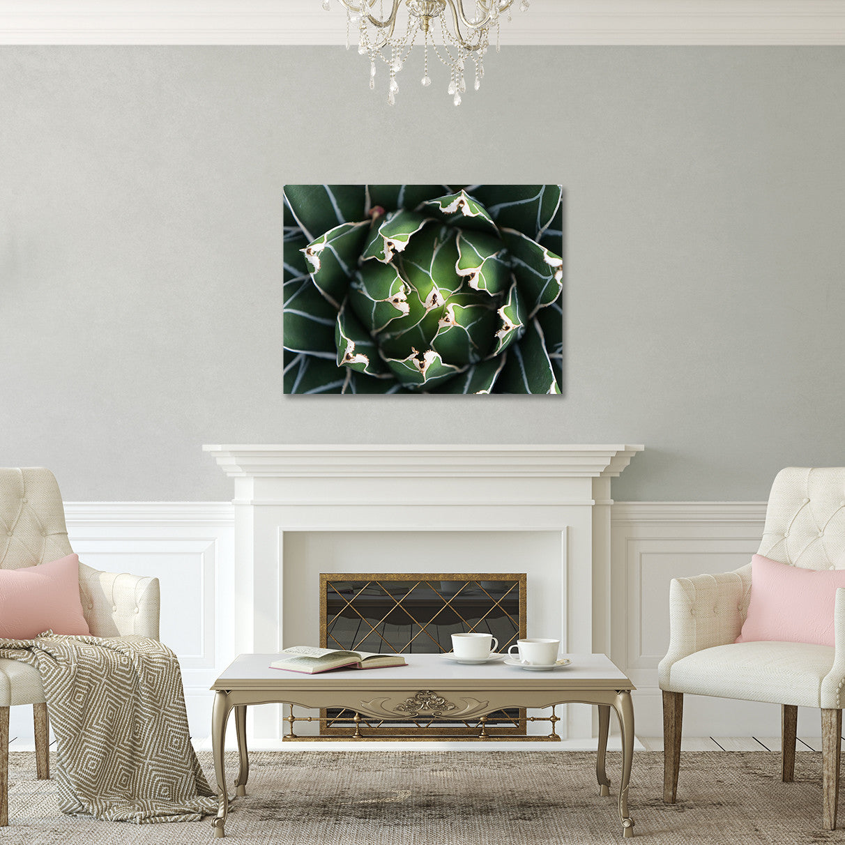 Ready to Hang Queen Victoria Agave Canvas- Succulent Wall Decor – april  bern art & photography