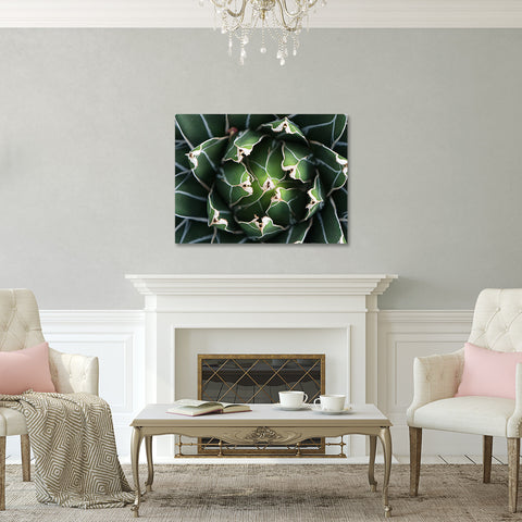 Ready to Hang Queen Victoria Agave Canvas- Succulent Wall Decor