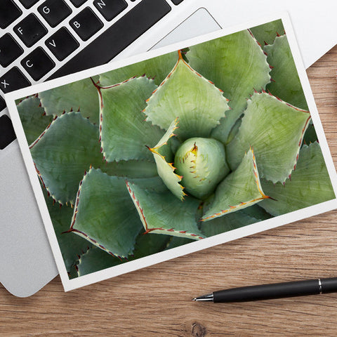 Agave Card, Succulent Photo Card