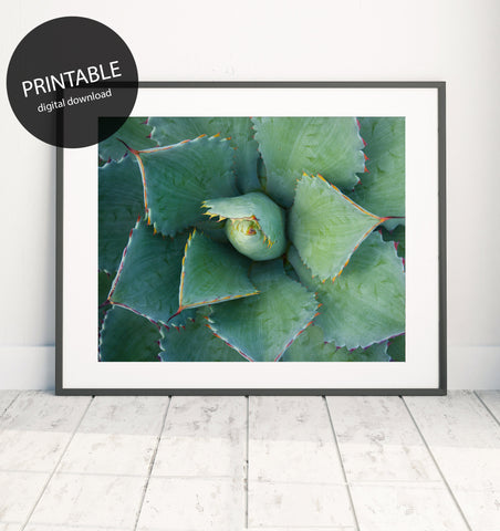 Printable Wall Art - Succulent Instant Download