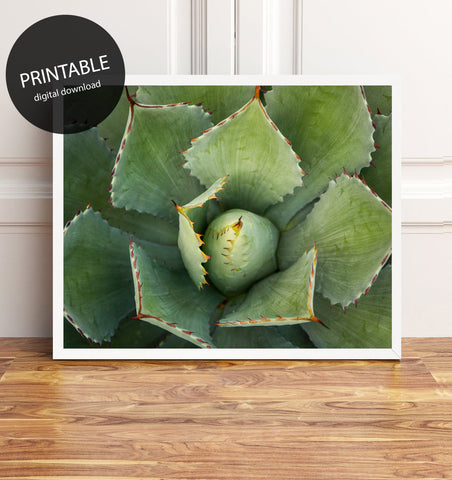 Printable Wall Art - Agave Instant Download