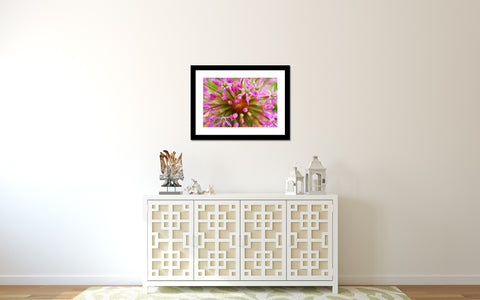 Pink Abstract Botanic Fine Art Print - april bern art & photography