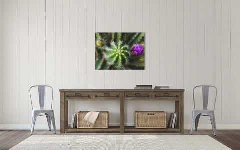 Cactus Wall Art - Ready to Hang Gallery Wrapped Canvas - april bern art & photography