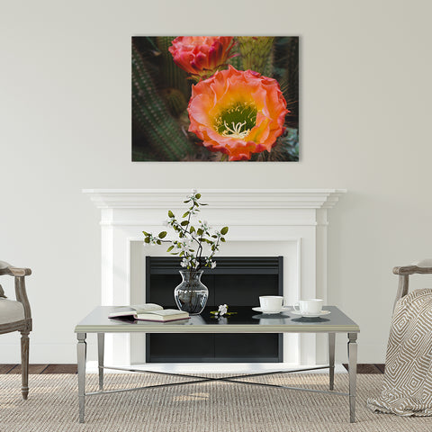 Cactus Bloom Wall Art - Ready to Hang Gallery Wrapped Canvas