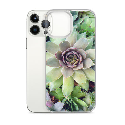 Succulent Garden iPhone Case