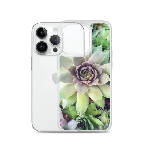 Succulent Garden iPhone Case