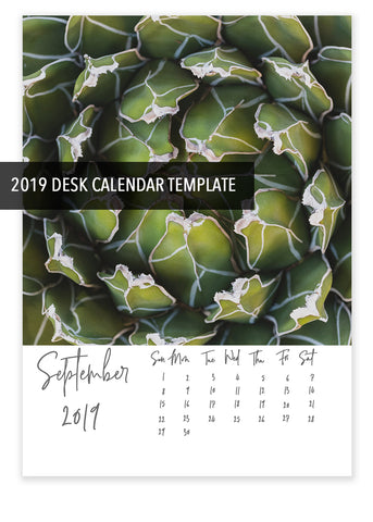 5x7 2019 Desk Calendar Template - DIY Calendar, Instant Download