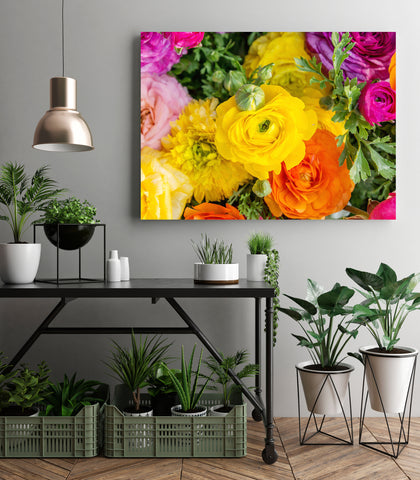 Ranunculus Gallery Wrapped Canvas, Floral Modern Home Decor