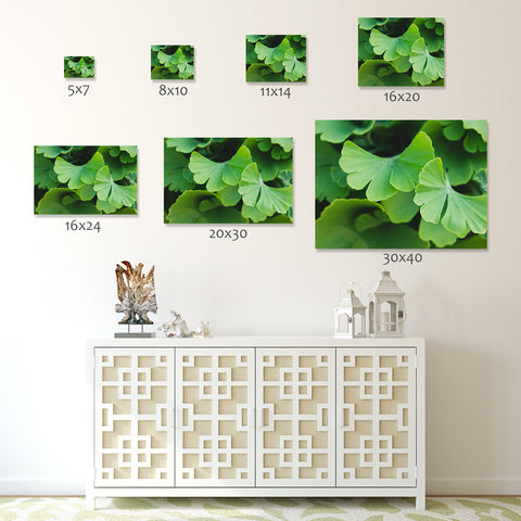 Ginko Leaves Botanical Art - april bern art & photography