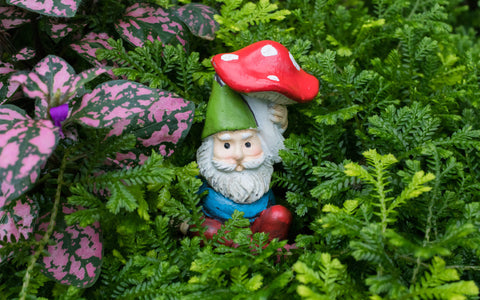 Whimsical Garden Gnome Fine Art Print - april bern art & photography