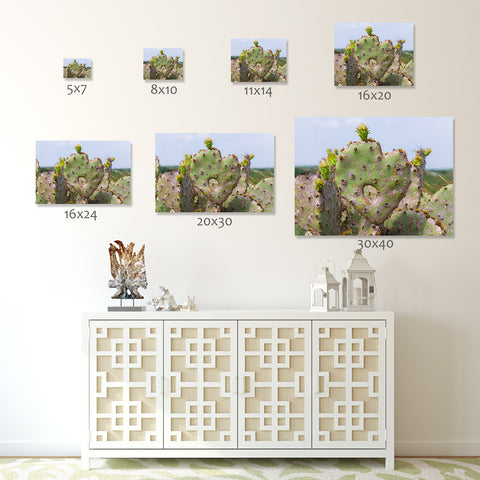 Cactus Heart Fine Art Print, Southwesten Desert Photo - april bern art & photography