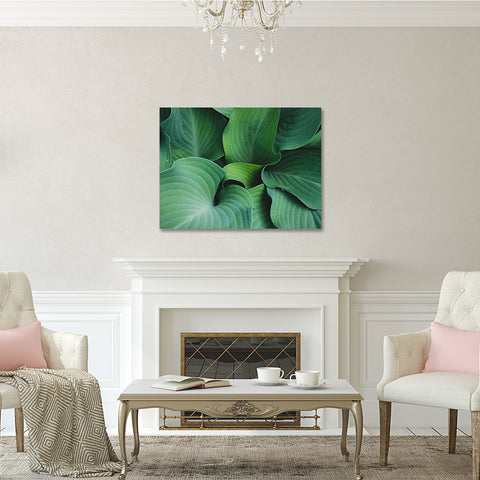Hosta Leaves Gallery Wrap Canvas, Ready to Hang Canvas Wall Art