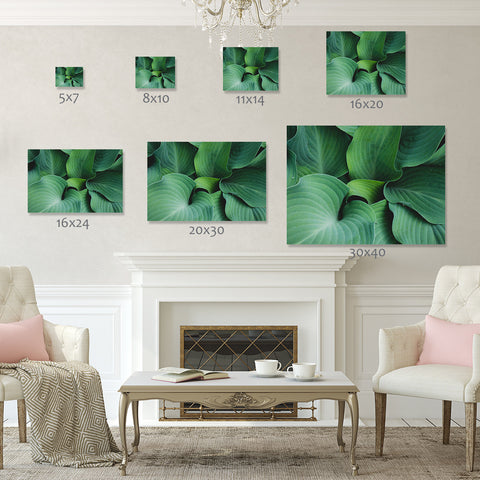 Hosta Leaves Gallery Wrap Canvas, Ready to Hang Canvas Wall Art - april bern art & photography
