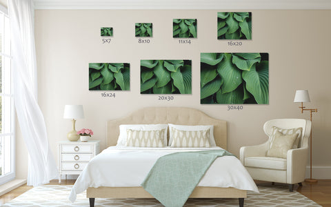 Abstact Hosta Leaves Wall Art- Green Home Decor - april bern art & photography