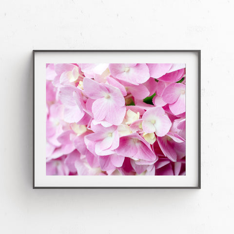 Printable Pink Hydrangea Wall Art - Instant Download - april bern photography