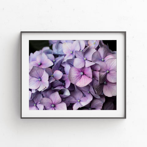 Printable Hydrangea Wall Art - Instant Download - april bern photography
