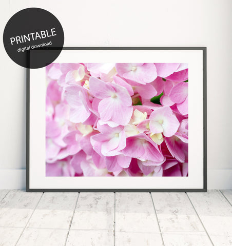 Printable Pink Hydrangea Wall Art - Instant Download
