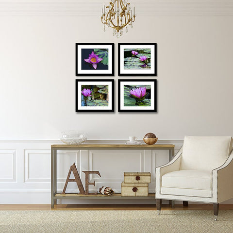 Waterlily Garden -  Set of 4 Waterlily Art Prints - april bern photography