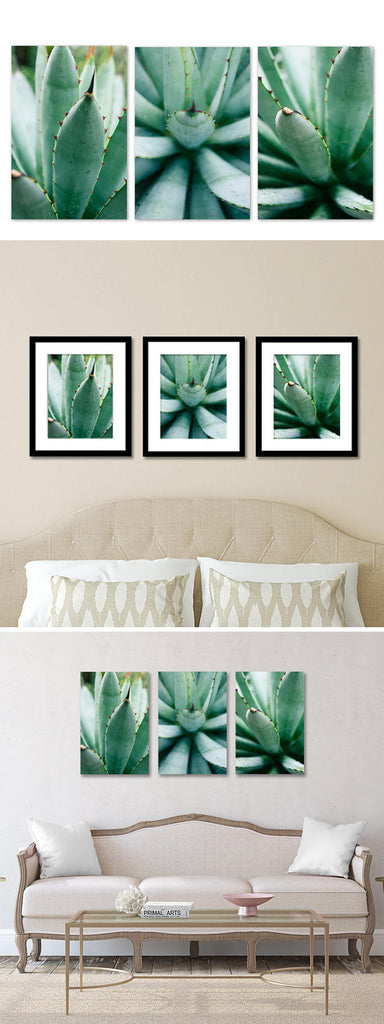succulent gallery wall Abstract Agave Fine Art Photography – april bern art & photography