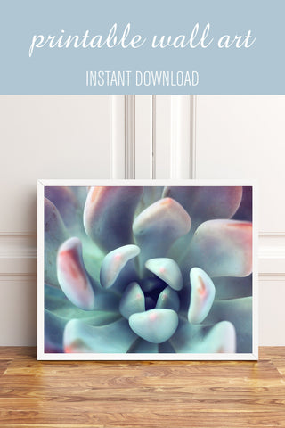 Instant Download - Succulent Printable Art - april bern photography