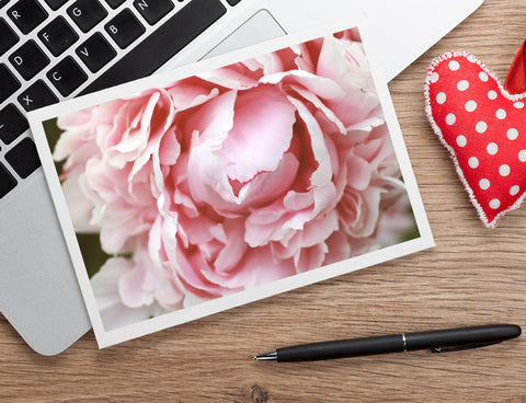 Pink Peony Notecard, Floral Blank Greeting Card - april bern art & photography