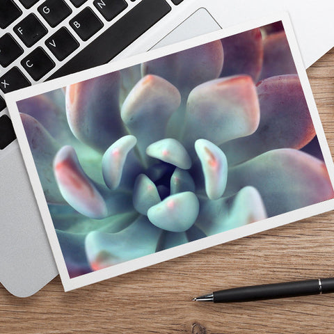 Succulent Notecard, Blank Greeting Card