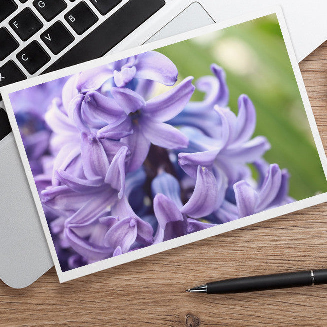 Hyacinth Photo Notecard, Spring Floral Greeting Card - april bern art & photography