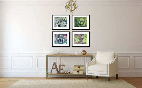 Succulent Garden -  Set of 4 Succulent Art Prints - april bern art & photography